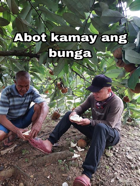 hayop kinantot